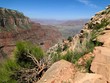 Green Grand Canyon