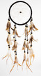 indian dreamcatcher