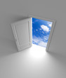Door to sky