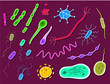 Bacteria and Viruses