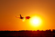 Flugzeug im Sonnenuntergang