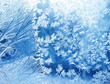 Eisblumen Eisblumen
