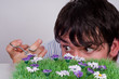 Boy trims lawn. Boy trims lawn.