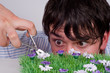 Boy trims lawn. Boy trims lawn.