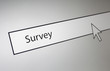 Survey