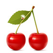 cherry