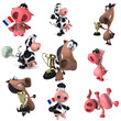 Animaux de ferme