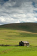 Desert Barn and Shadows (Portrait Orientation)