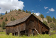 Barn and Wildflowers