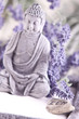 Photo en ligne au meilleur prix Buddha bei Zen Meditation,  Massage Steine, Lavendel