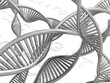 Illustration: DNA Helix DNA Helix