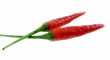 red chili red chili