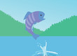 Fish jumps from water