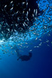 Photo: clear waters of the sea clear waters of the sea