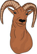 vector - mouflon , portrait, isolated on background vector - mouflon , portrait, isolated on background