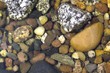 bachlauf kies klares wasser