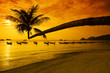 Sunset with palm and boats on tropical beach