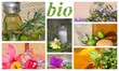 produits cosmétiques bio