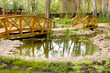 Freshwater marsh with bridges Freshwater marsh with bridges