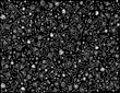 Black & White Flower Pattern Black & White Flower Pattern