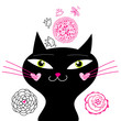 Fun loving cat