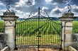 entrée de vignoble