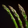 Three Asparagi