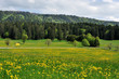 Paysages jurassiens printanniers