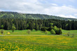 Paysages jurassiens printanniers