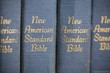 Copies Of The New American Standard Bible In A Row