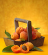 Apricots