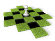 Schach