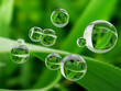 Transparent bubbles on grass background