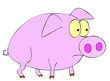 piggy