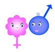 Symbols sex, objects isolated, vector