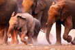 Elephants herd running Elephants herd running