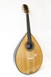 Madeira mandolin Madeira mandolin