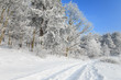 winter landscape winter landscape