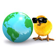 3d Chick looks at the globe 3d Chick looks at the globe