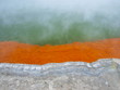 Waiotapu Thermal Reserve, Neuseeland