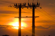 torre electrica