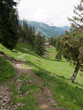 Sentier de randonnée dans les Alpes