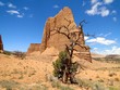 Cathedral Valley