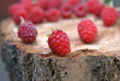 ripe appetizing raspberry