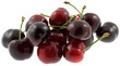 des cerises rouges sur fond blanc