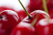 Sweet cherry Sweet cherry