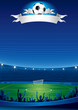 Excited crowd of people at a soccer stadium