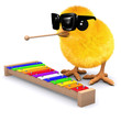 3d Chick plays the xylophone 3d Chick plays the xylophone