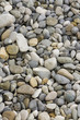 Kamienista plaża
