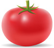 3d tomato isolated on white 3d tomato isolated on white